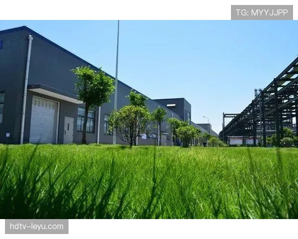 欧洲杯践行绿色理念，环保举措打造可持续赛事新标杆