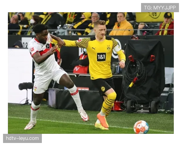 维也纳主场迎战劲旅，状态回升点燃球迷期待