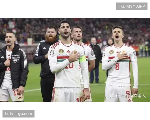 欧洲杯2024点燃德国夏日：足球热潮席卷全国，赛事关注度持续攀升