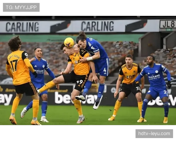 海伦芬数据分析