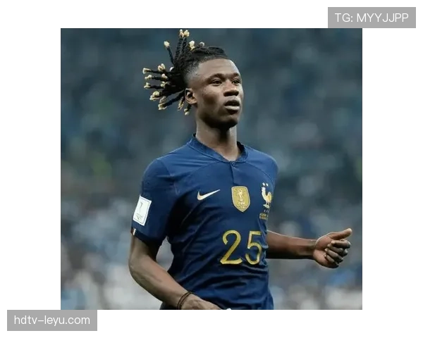 法国内讧传闻 法国内讧传闻