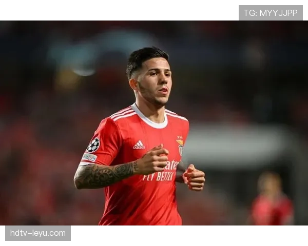 恩佐·费尔南德斯:世界杯冠军成员身份解析 恩佐·费尔南德斯:世界杯冠军成员身份解析