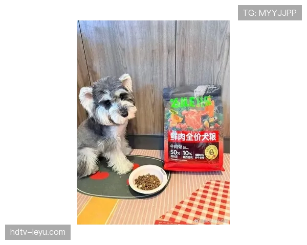 刘洋家的狗都吃进口牛肉，我还在纠结外卖满减